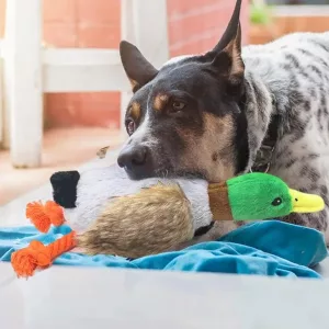 Kauspielzeug für Hunde, Quietschspielzeug, Plüschente, Entenspielzeug