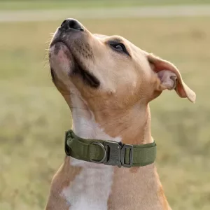 Taktisches Hundehalsband, Hundetrainingshalsband, Hundehalsband mit Metallschnalle