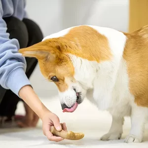 Kauspielzeug für Hunde, Kaustock für Hunde, Kauspielzeug aus Holz, Kauspielzeug aus Hirschgeweih