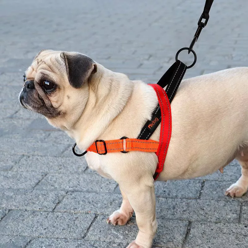 dog harness, no pull dog harness, reflective dog harness, nylon dog harness