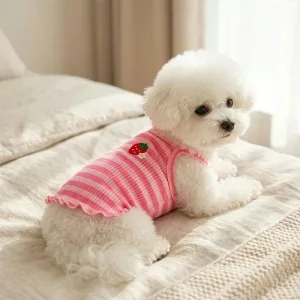 cute dog vest